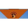 Standard Imported Orange Triangle Bandanna